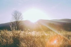 对于礼物的诉求呈现出一